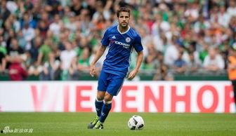 热门大瓜top10 每日大赛,揭秘娱乐圈风云变幻，盘点娱乐圈最新动态